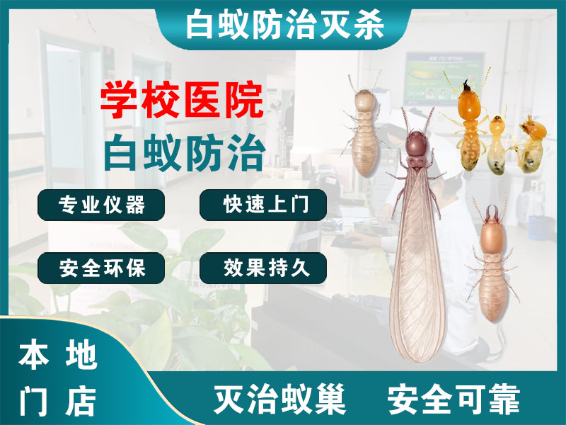 鄞州区学校医院白蚁防治