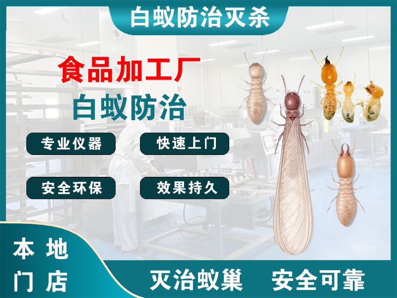 鄞州区食品加工厂白蚁防治