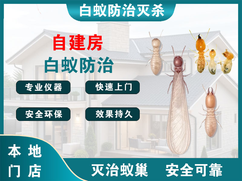 鄞州区自建房白蚁防治