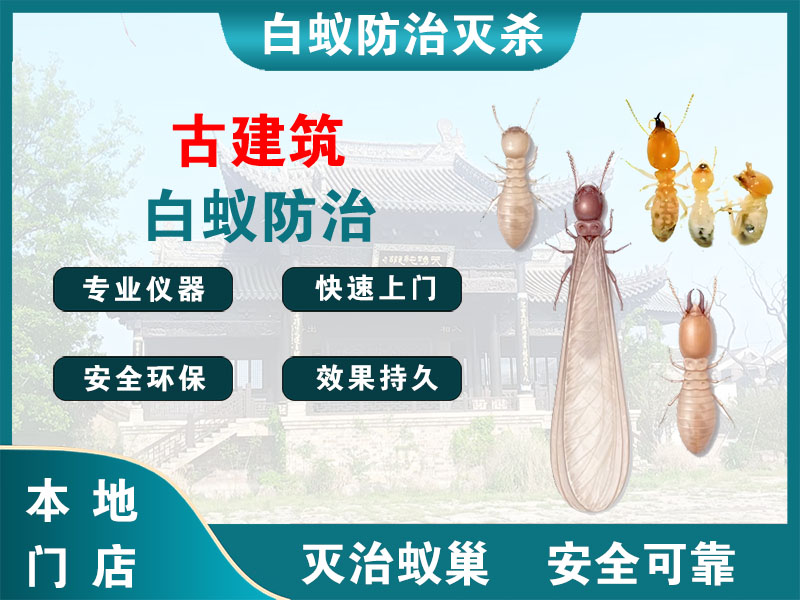 鄞州区古建筑白蚁防治